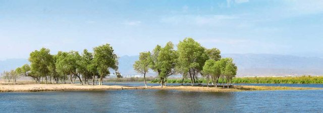 na-torgah-gtsbt-obshaya-summa-sdelok-sostavila-svyshe-7-millionov-763-tysyac-dollarov-ssha