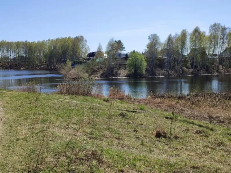 Дачник на ОбьГЭСе принес муляж гранаты в соседский огород