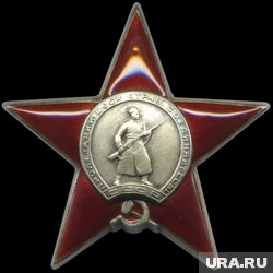 Орден давали за вклад в оборону страны