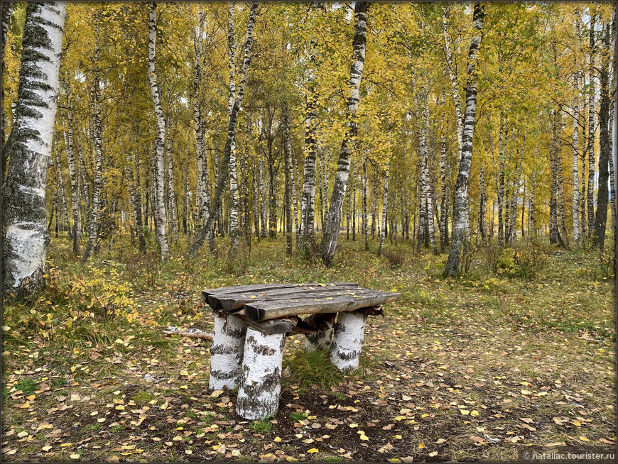 «Осенние краски Уймонской долины». Дорога, база и первые эмоции