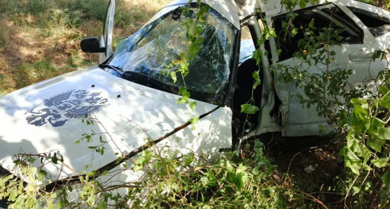«Приора» врезалась в дерево в Кущевском районе, водитель погиб