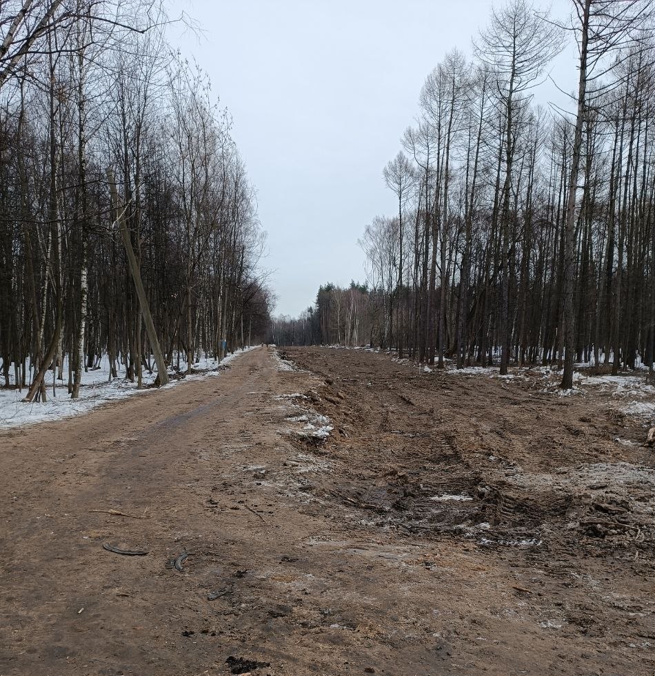 Дорога нарежет. ПВО В Лосином острове. Вырубка в Лосином острове 2023. ПВО В Лосином острове 2023. Дорога в Лосином острове.