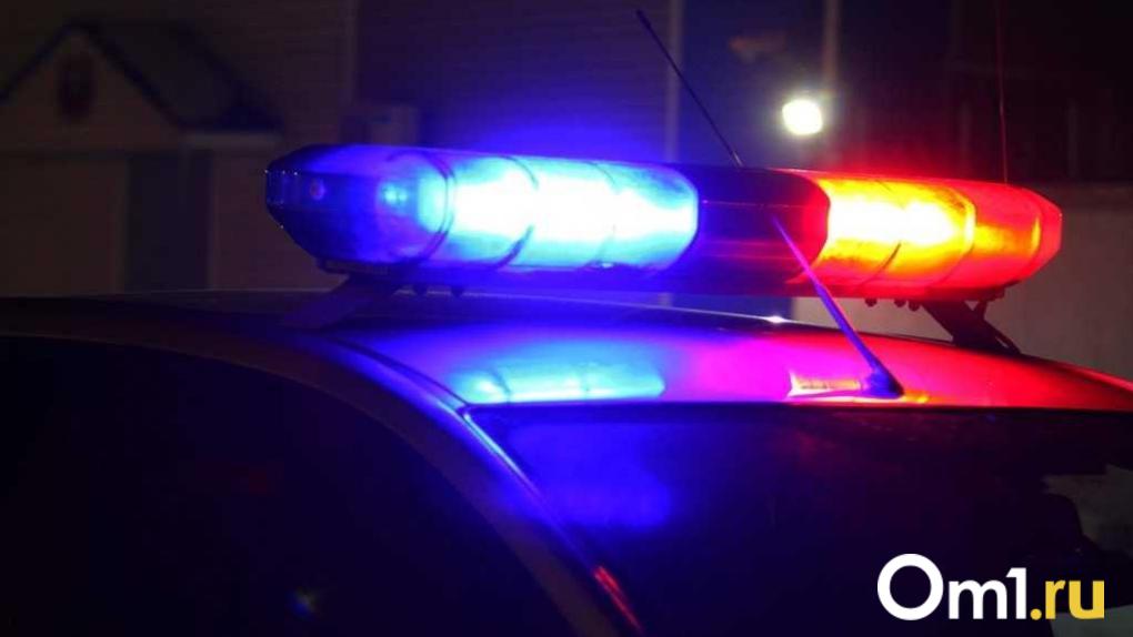 Скончался до приезда скорой: на омской трассе произошла страшная авария