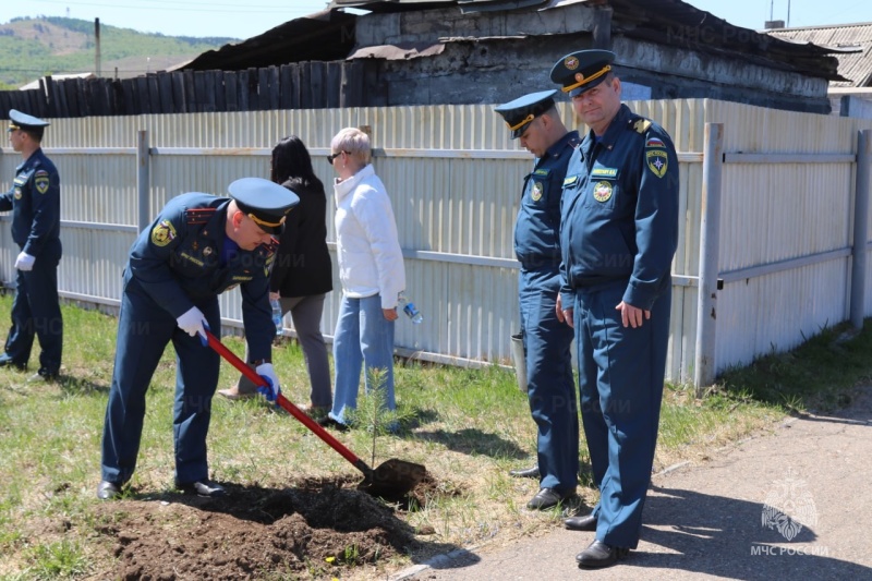 Сотрудники Главного управления продолжают высадку деревьев в рамках Всероссийской акции «Сад памяти»