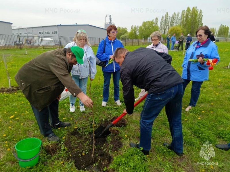 В честь 375-летия пожарной охраны сотрудники МЧС России высадили фруктовый сад