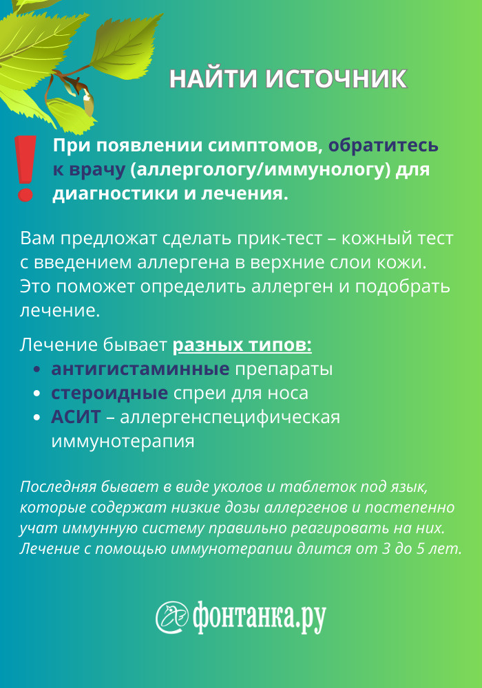 Аллергия петербург. Сезонная аллергия весной. Весенняя аллергия когда начинается. Аллергия поллиноз. Поллиноз Сенная лихорадка.