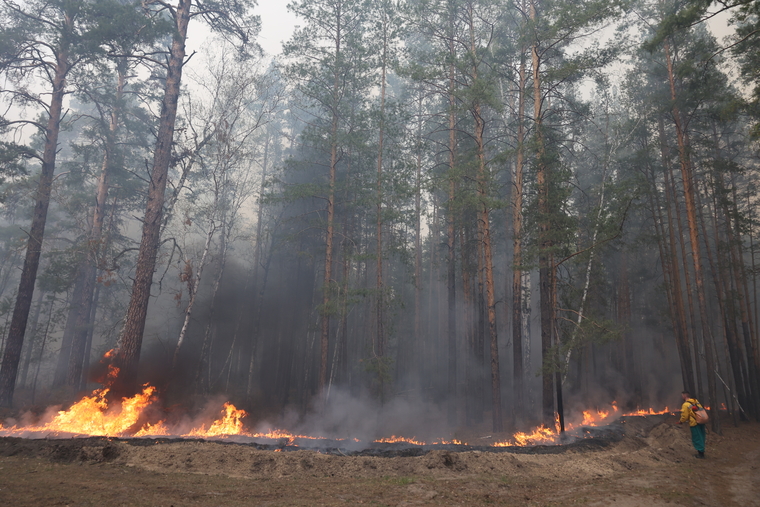 Фото пожаров свердловской области