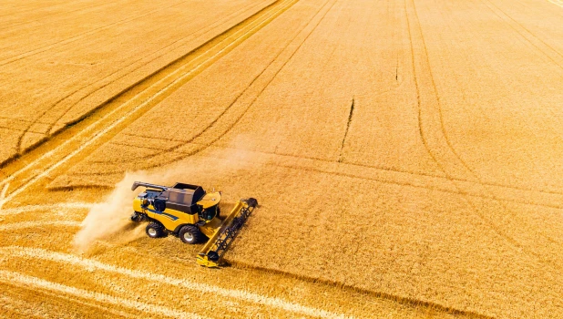 Комбайн в поле.