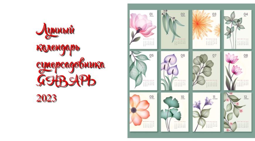 Календарь цветов на январь