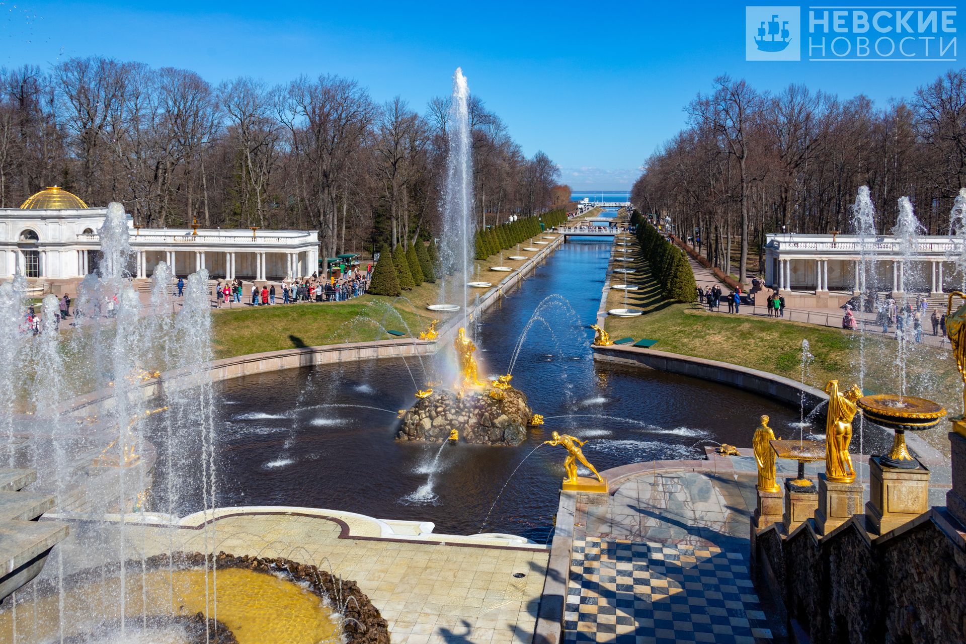 Пуск фонтанов в петергофе. Фонтаны Петергофа в Санкт-Петербурге. Петергоф Нижний парк. Петергоф фонтаны. Парк фонтанов в Петергофе.