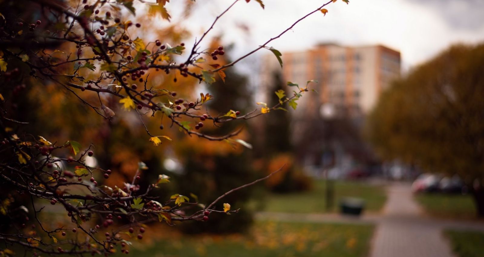 Проводы осени предзимье. Проводы осени встреча зимы. Провожаем осень встречаем зиму. Иваново снежное. Родники ивановская область осень.