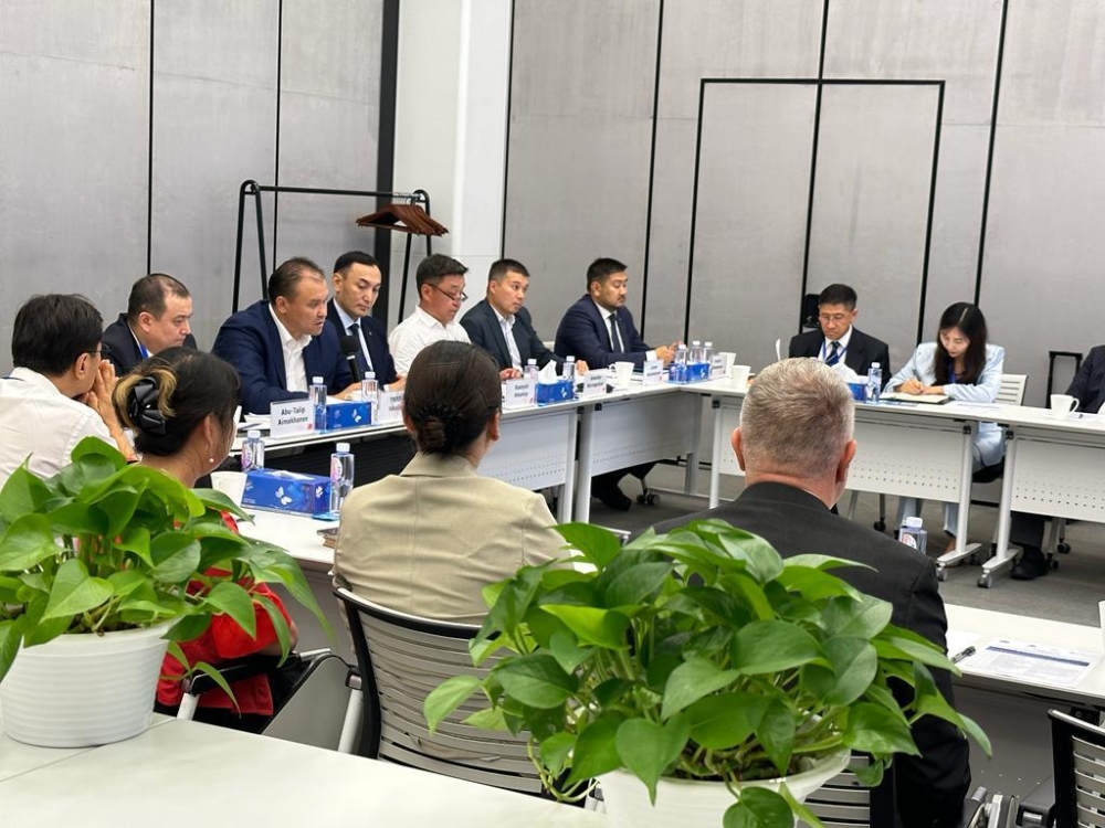 Казахстан заинтересован в налаживании сотрудничества с производителями лекарств, медицинских изделий и оборудования КНР