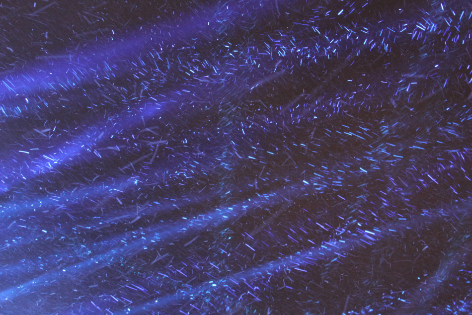 Названы гонорары звезд на новогодних корпоративах в 2025 году