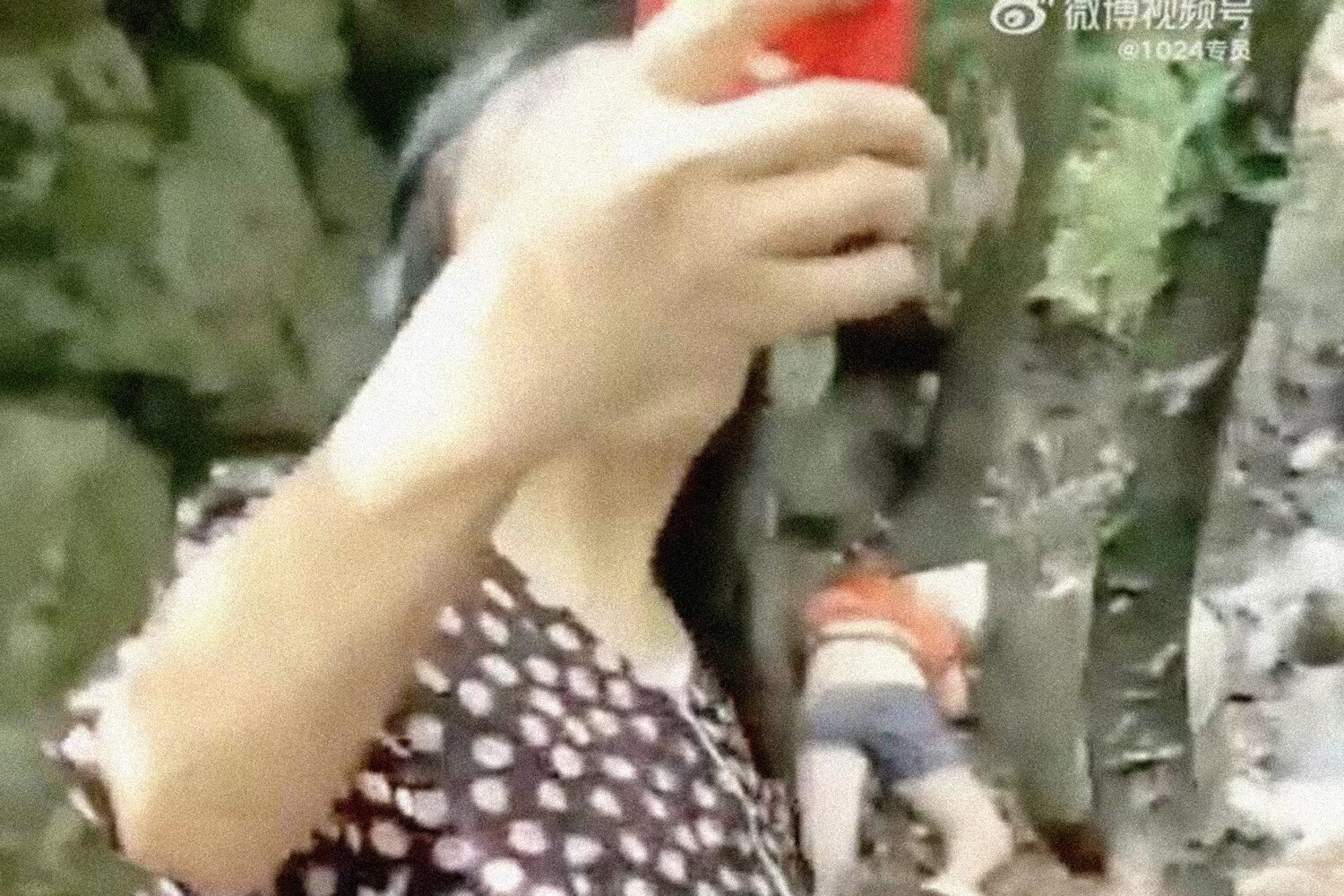 В китае за измену. Наказание женщин за измену мужу. В китае за измену. Наказание за измену в сиаме. Наказание женщин за измену мужу.