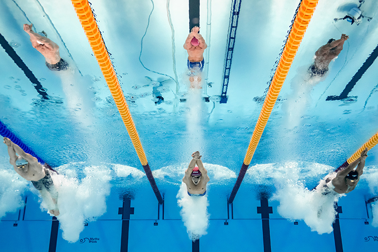 В ноябре в Казани планируется целый ряд больших событий в водных видах спорта