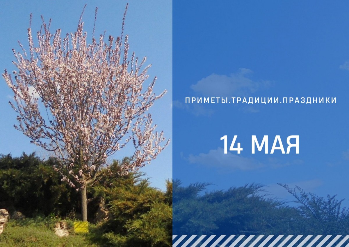 Приметы 14 мая: что нельзя делать в день Еремея Запашника, чтобы не понести траты и потери