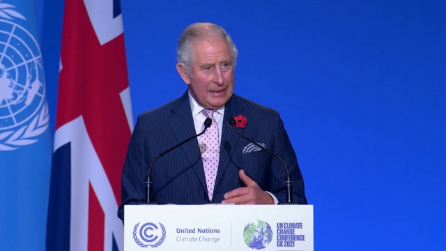 Принц Чарльз Цитата из видео COP26 Церемония открытия — Саммит мировых лидеров