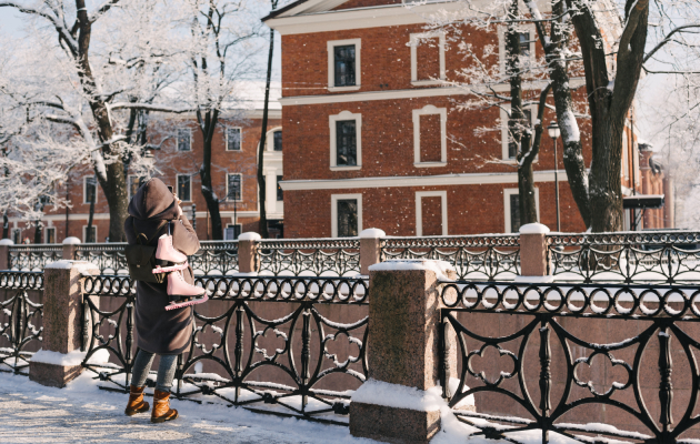 Новая Голландия