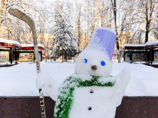 Начало зимней сказки и позитивный снеговичок: жители Подмосковья делятся снежными фото