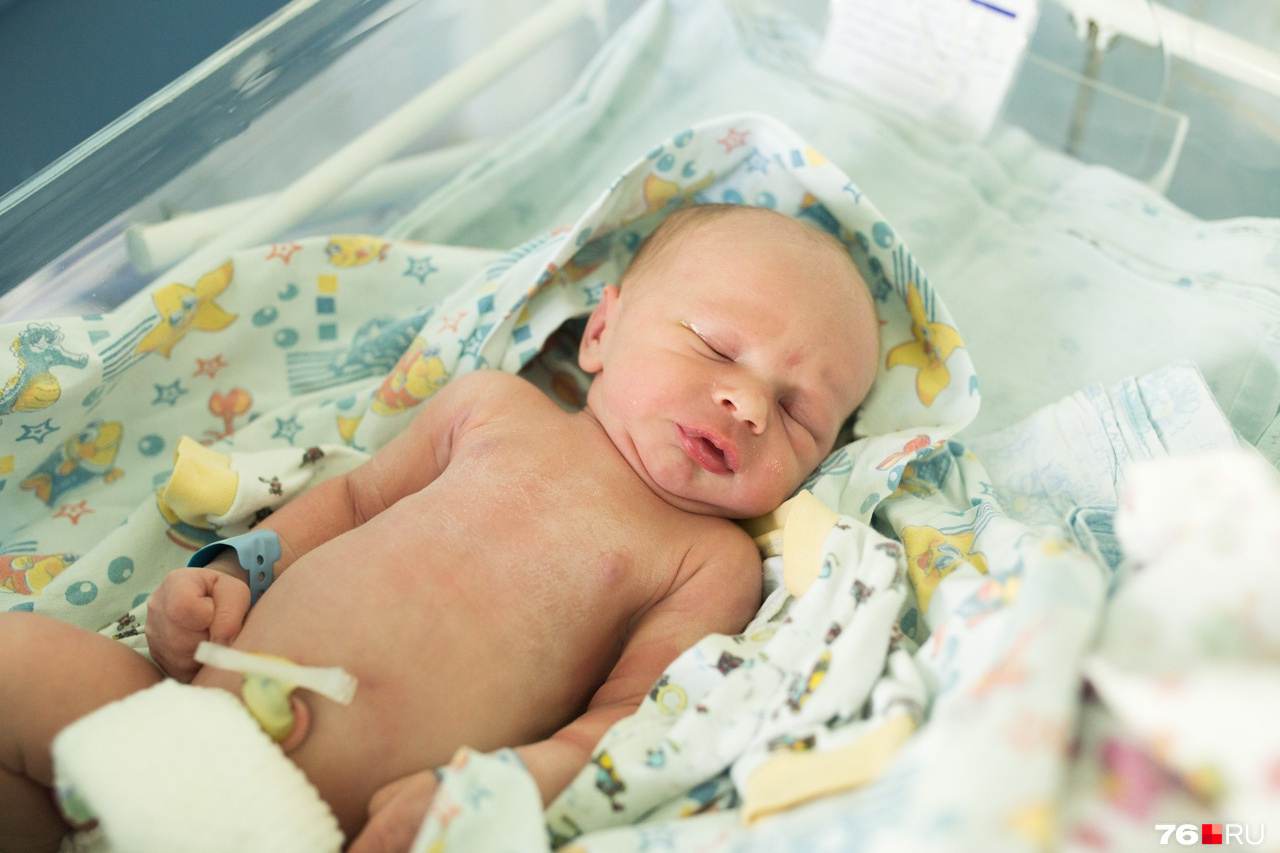 дети родившиеся в 2018 году получат