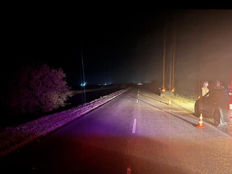 Пешеход получил травмы в аварии на трассе в Абинском районе