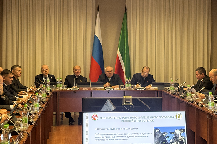 Накануне прошло совместное заседание комитета Госсовета РТ по экологии, природопользованию, агропромышленной и продовольственной политике и экспертного совета при данном комитете