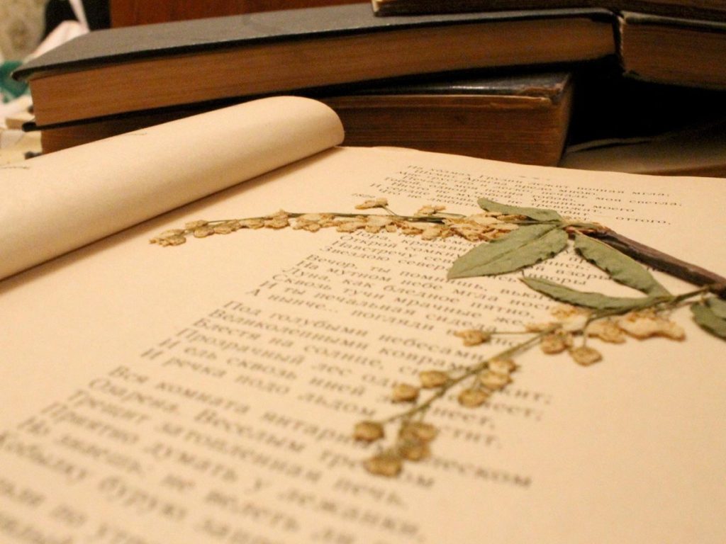 Картинки книги стихи