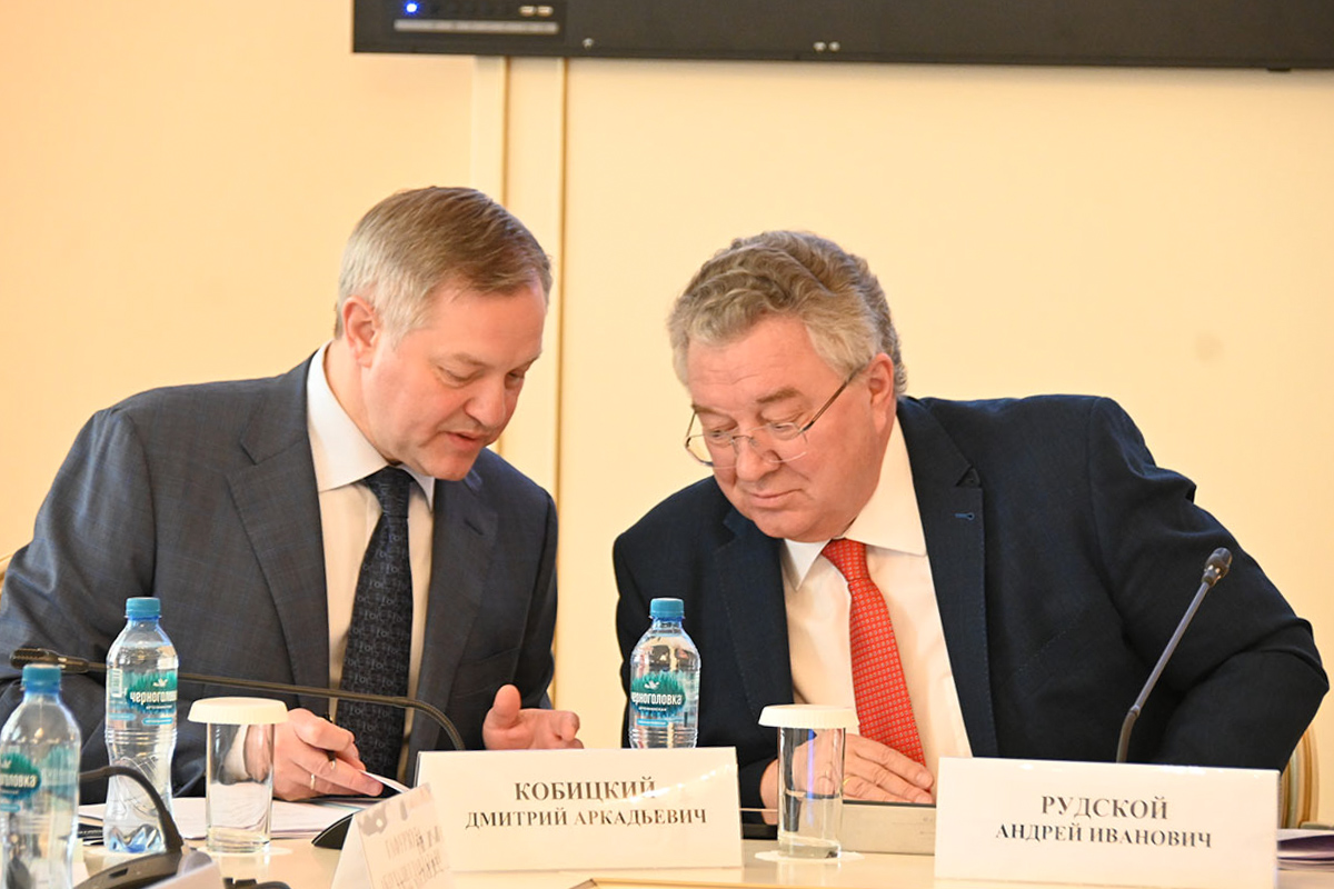 Дмитрий Кобицкий и Андрей Рудской 