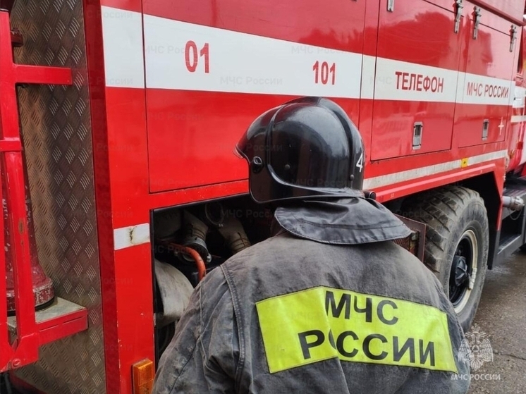 На трассе под Калугой легковушка вылетела в кювет