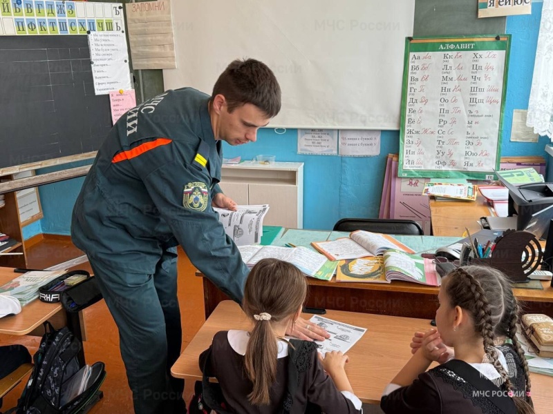 Для учеников Новоборисовской школы прошёл урок безопасности