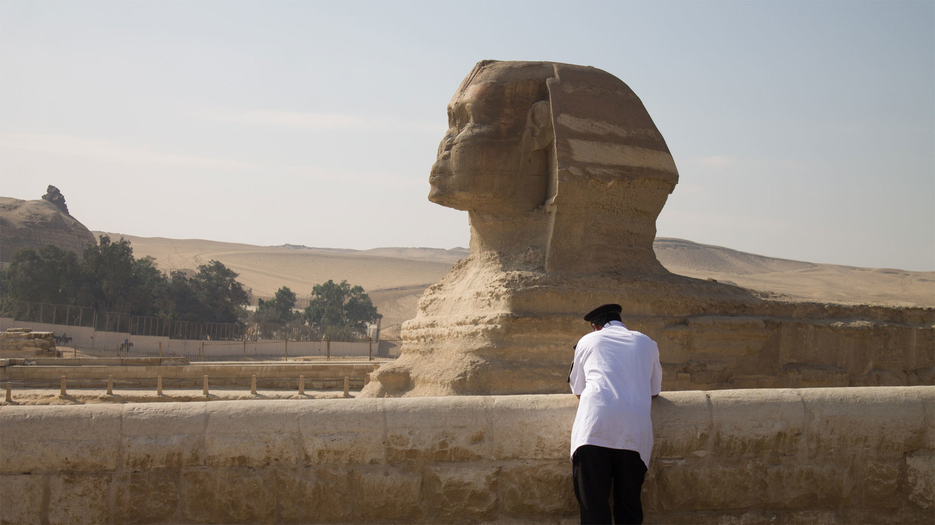 Египет закрыт. Сфинкс 2022 Египет. Сфинкс статуя в Египте. Скульптура сфинкса в Египте 2016. Сфинксы в Луксоре.
