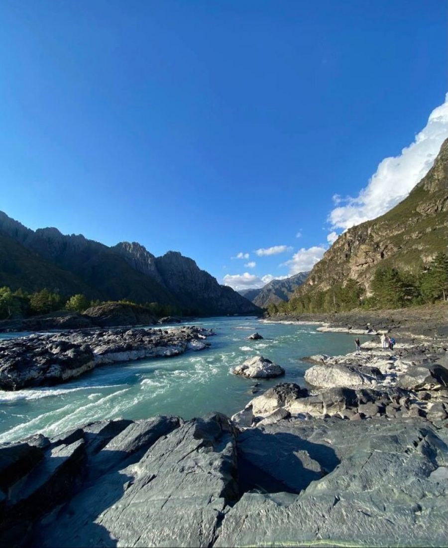 алтай выбирай