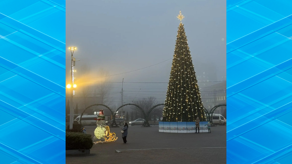 В Брянске впервые установили новогоднюю елку возле цирка
