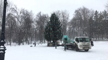 На Соборной площади в Пензе начали украшать живую ель