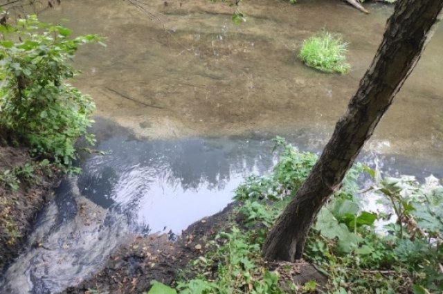 Сброс неочищенных зловонных сточных вод в реку Кубня продолжается – снимок сделан 9 сентября.