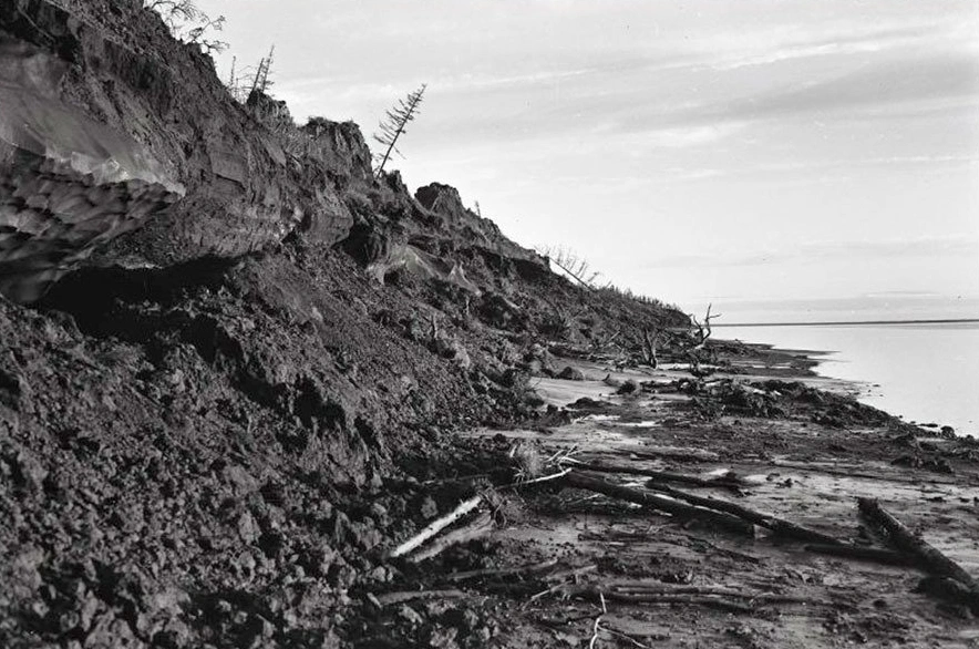 Берег реки Колымы с торфянистыми отложениями. 1977 год