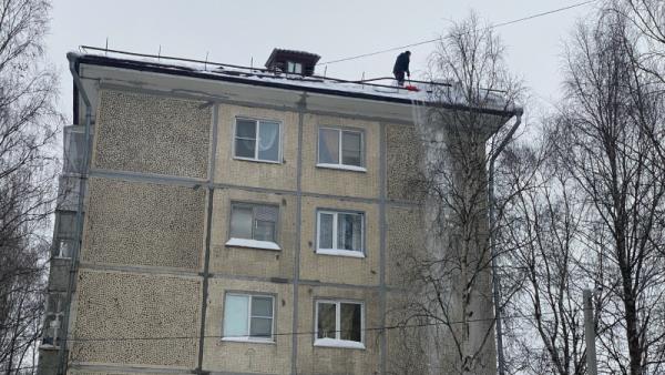 Фото: администрация Архангельска