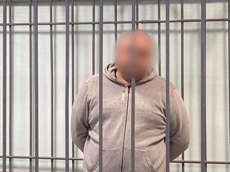 В Туле подозреваемый в убийстве двух человек на суде признал вину