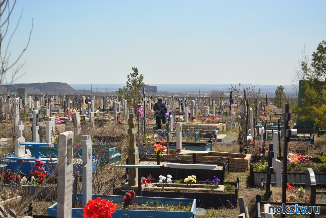 татьяна трундова новотроицк. вид на новотроицк. главная улица города новотроицк. новотроицк жители. улицы города новотроицка оренбургской области.