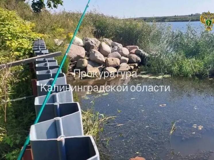 В Калининградской области освободили берег реки от нелегальной застройки