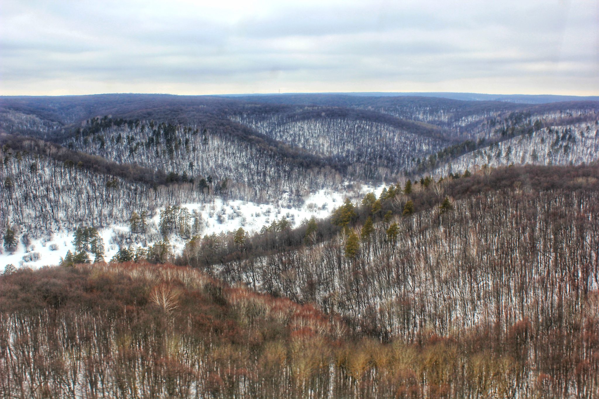 Самарская лука источник