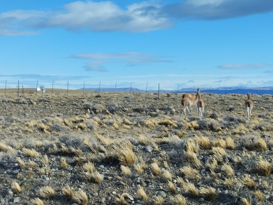 Фиц Рой – плод терпения