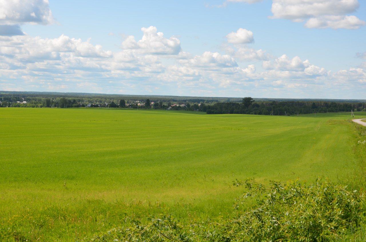 равнинная дорога. осеннее поле. поле в кирове. поле в кирове. картины художника зорюкова а.