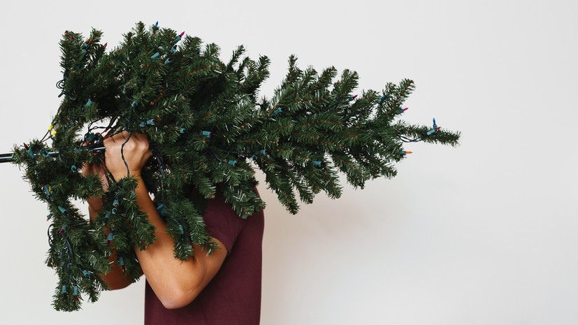 Доцент Борисова посоветовала убедиться в безопасности искусственной ёлки