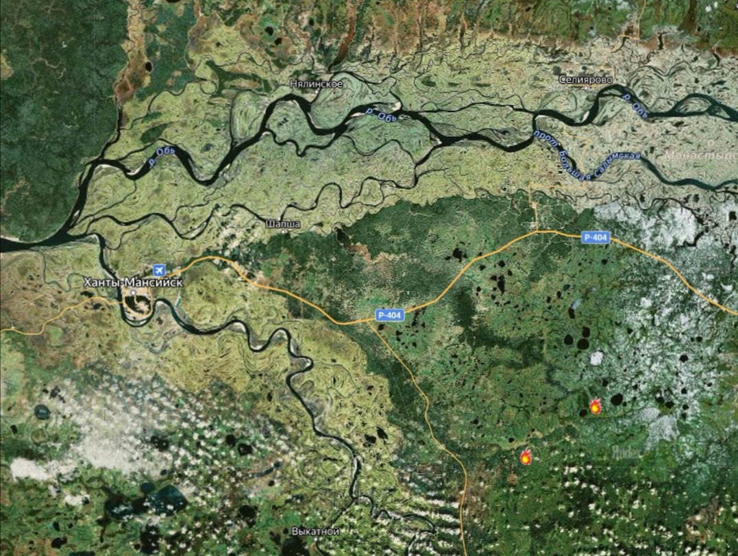 Лесные пожары 2024 год хмао югра. Карта Ханты-Мансийского автономного округа Югры. Структура Тюменского лесничества фото.