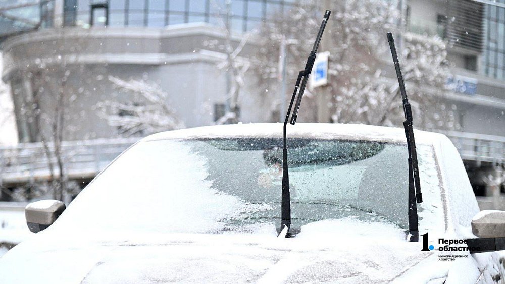 Синоптики пообещали жителям Челябинской области снежную погоду 28 декабря