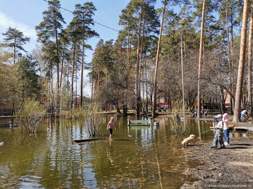 Двенадцать небанальных мест в Новосибирске