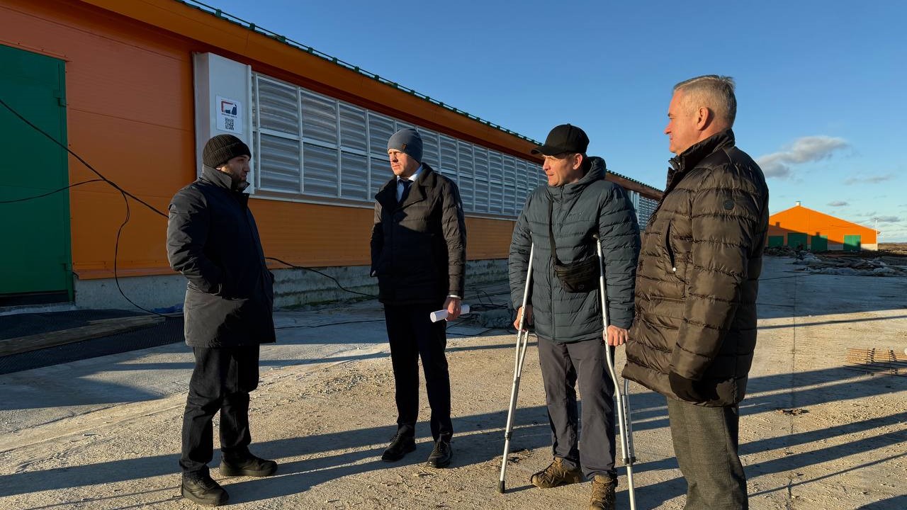 Картинка для новости