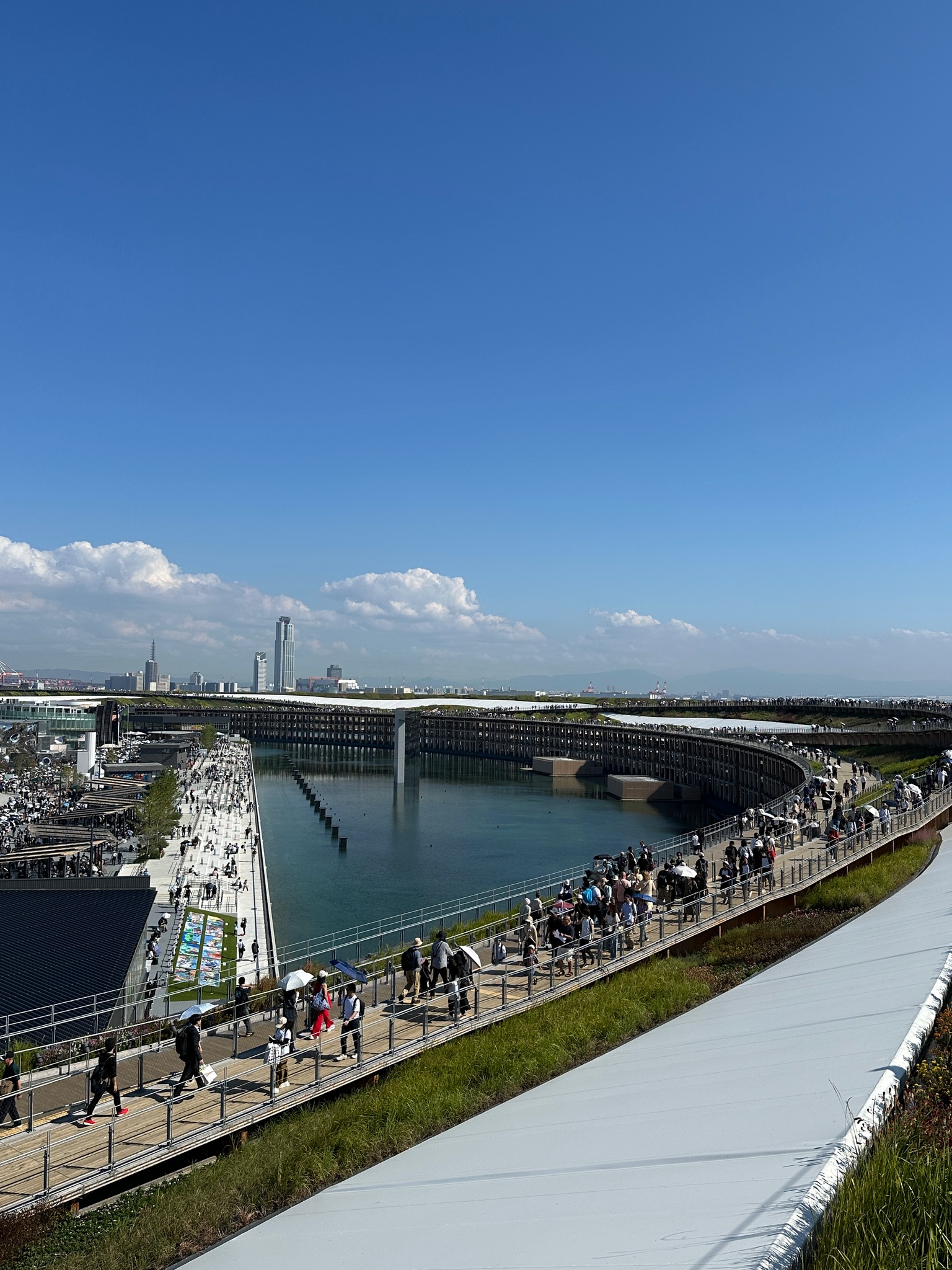 Где и зачем построено самое большое деревянное сооружение на планете