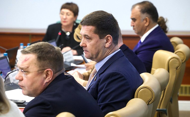 Заседание Комитета Совета Федерации по социальной политике